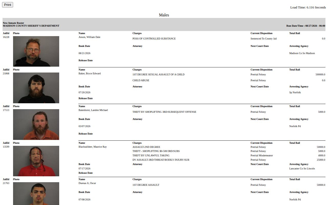 Madison County Jail roster report showing booking record fields